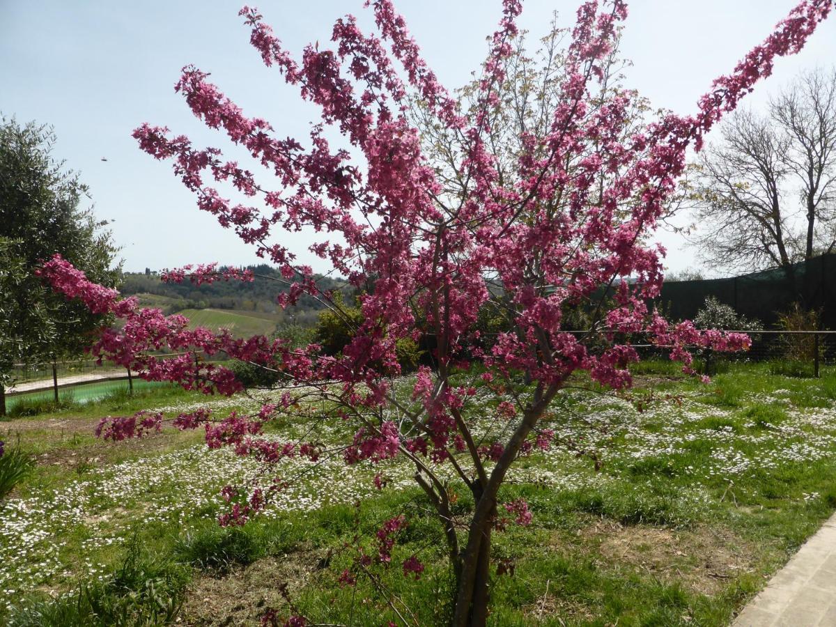 Agriturismo Le Tre Pietre - Podere Nel Chianti Quercegrossa Екстериор снимка