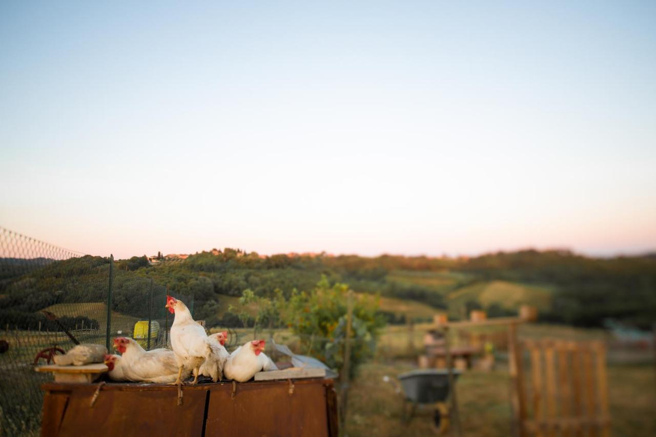 Agriturismo Le Tre Pietre - Podere Nel Chianti Quercegrossa Екстериор снимка