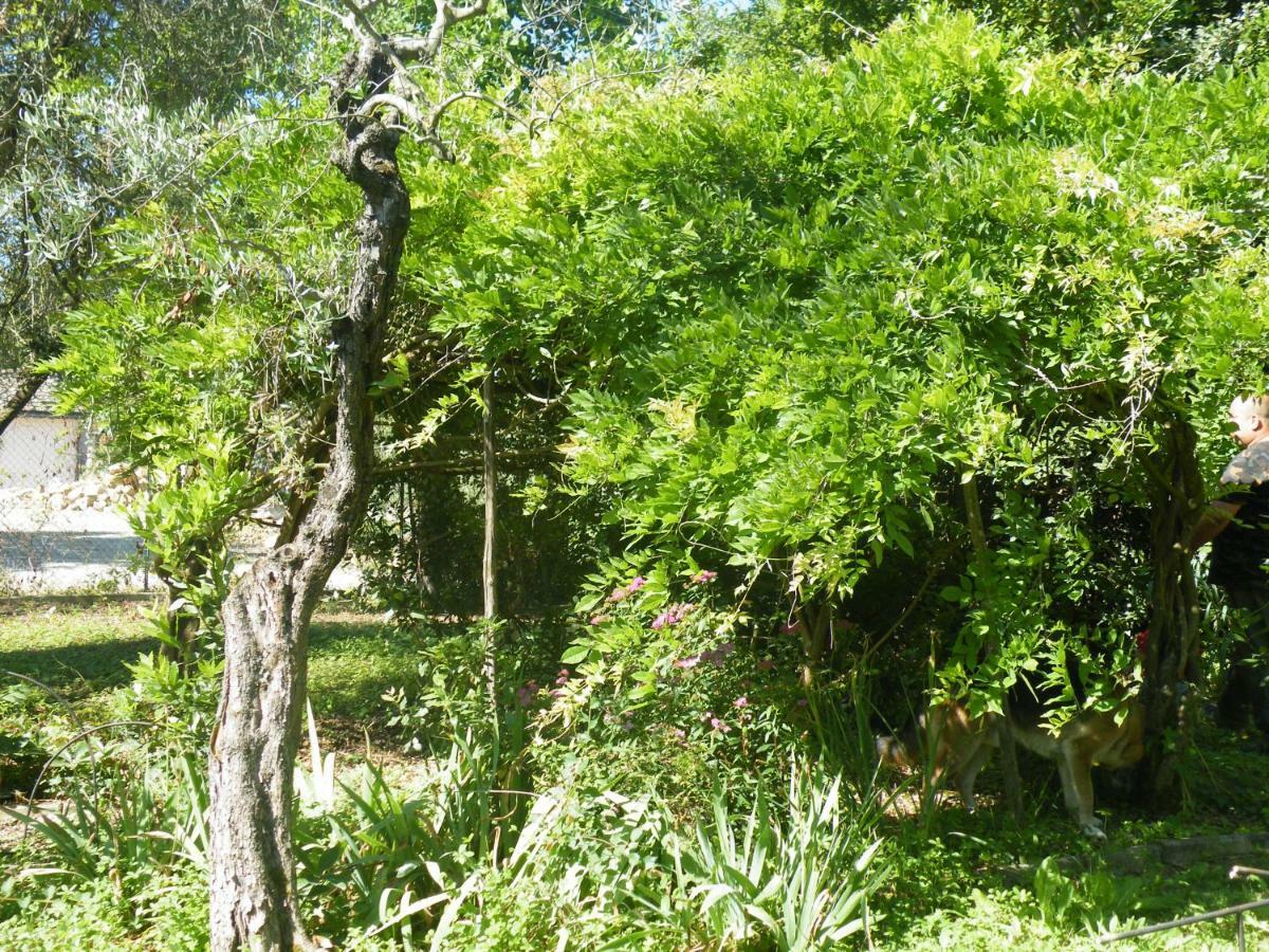 Agriturismo Le Tre Pietre - Podere Nel Chianti Quercegrossa Екстериор снимка